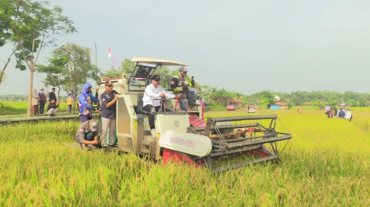 Modernisasi Pertanian Pemkab Rembang Tunjukkan Hasil Nyata