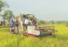 Modernisasi Pertanian Pemkab Rembang Tunjukkan Hasil Nyata