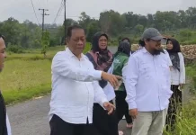Kementan Monitoring Panen Jagung di Ganding
