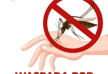 Kasus DBD di Nagekeo Capai 12, Dinkes Imbau Warga Waspada