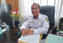 Anggaran Pengadaan Bibit Ternak Pokir 2026 Anjlok