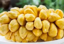 Kenali Olahan Cempedak yang Menggugah Selera