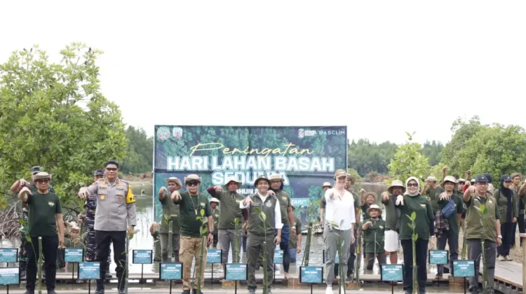 Gubernur–Menhut RI Perkuat Pelestarian Mangrove Kaltara