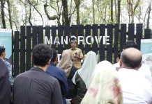 Gubernur Kaltara : Mangrove Penting Bagi Mitigasi Perubahan Iklim