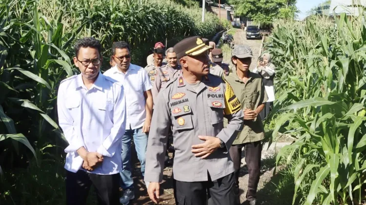 Wakapolres Bima Kota Motivasi Petani Jagung