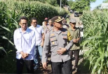 Wakapolres Bima Kota Motivasi Petani Jagung