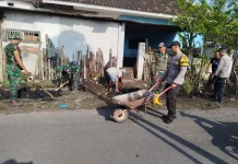 Pemerintah Lumajang Maksimalkan Program Presiden Asri