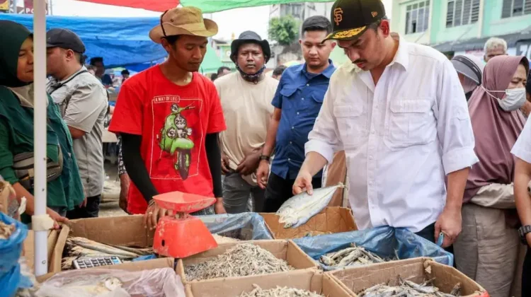 Pemprov Sumbar Percepat Pemulihan 4.876 UMKM Terdampak Bencana