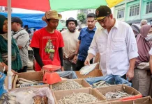 Pemprov Sumbar Percepat Pemulihan 4.876 UMKM Terdampak Bencana