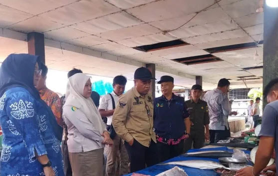 DKP Bengkulu Selatan Pantau Harga Pangan jelang Ramadhan