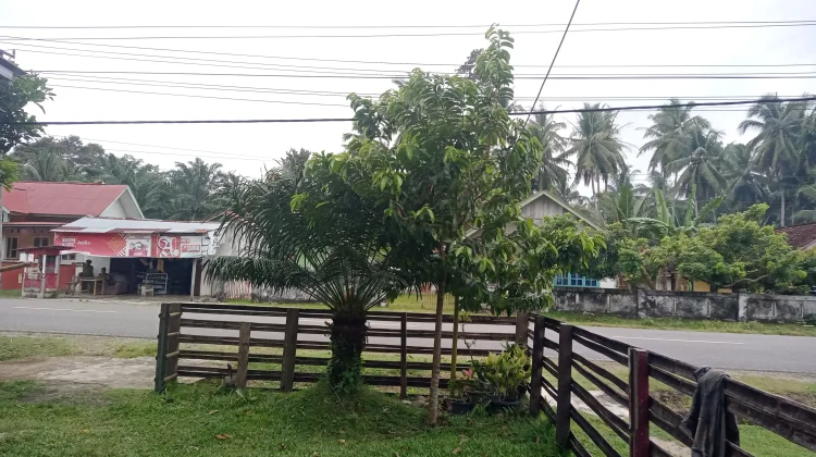 DKP Bengkulu Selatan Wacanakan Program SERUMPUN