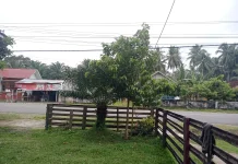 DKP Bengkulu Selatan Wacanakan Program SERUMPUN