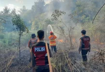 Sebelas Titik Panas Terpantau di Sumut