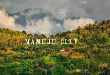 Rekomendasi Aktivitas Seru Long Weekend di Mamuju