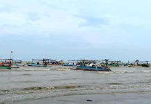 Nelayan Libur Melaut, Pasokan Ikan di Tuban Menurun