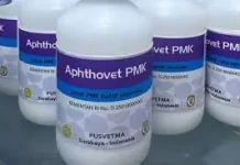 Sintang Dapat Jatah 1000 Dosis Vaksin PMK