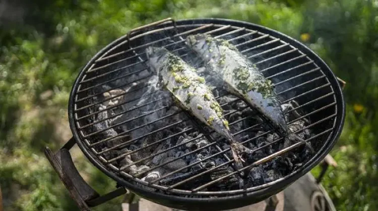 Ikan Salmon vs Ikan Kembung, Mana yang Lebih Kaya Nutrisi?