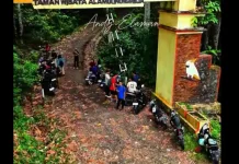 Taman Wisata Alam Gunung Meja di Manokwari