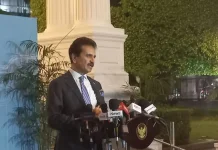 Pakistan Harap Peran Penting Indonesia di KTT D-8