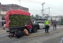 Truk Bermuatan Pisang Mogok di Gadingrejo