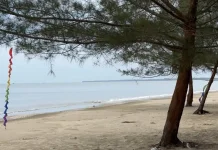 Menikmati Keindahan Pantai Jo Cemara di Tanah Bumbu