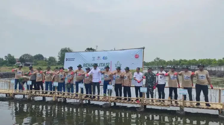 Tanam Mangrove Warnai HUT PT Adhi Karya Ke- 66