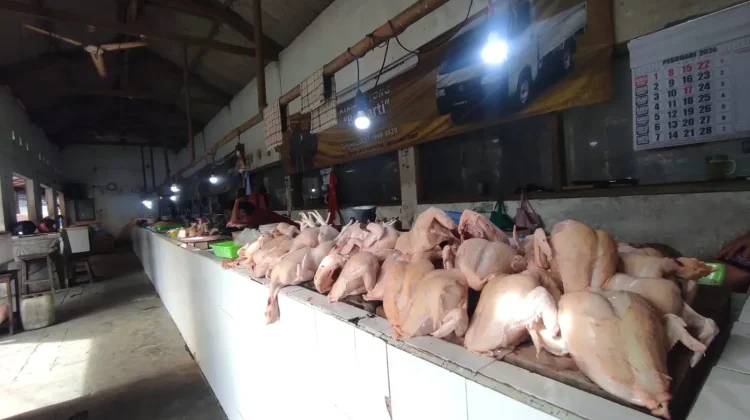 Harga Daging Ayam Mahal, Daya Beli Tetap Tinggi