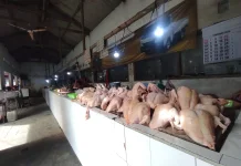 Harga Daging Ayam Mahal, Daya Beli Tetap Tinggi