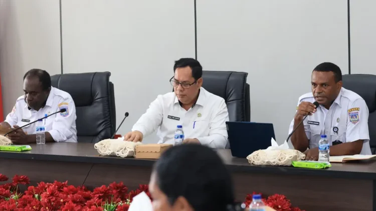 Pemprov Papua Selatan Ikuti Sosialisasi SAKIP KemenPAN-RB