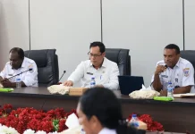 Pemprov Papua Selatan Ikuti Sosialisasi SAKIP KemenPAN-RB