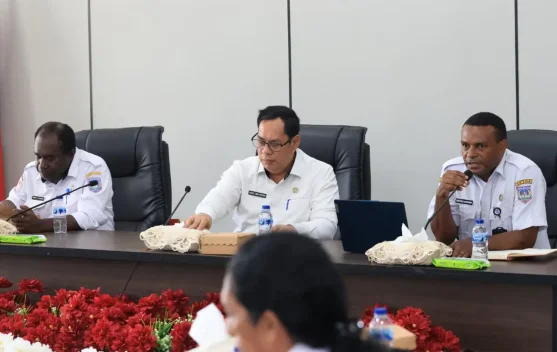 Pemprov Papua Selatan Ikuti Sosialisasi SAKIP KemenPAN-RB