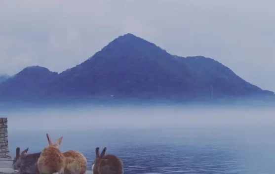 Pulau Misterius yang Hanya Dihuni Hewan