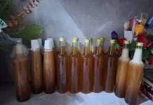 Penjualan Madu Botol Lokal Kian Diminati