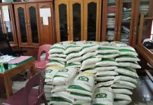 Bantuan Pangan Bakal Kembali Meluncur pada Februari-Maret 2026