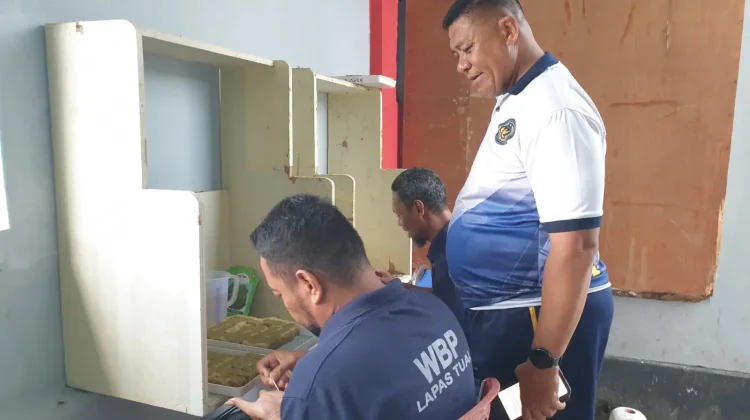 Warga Binaan Lapas Tual Semai Bibit Selada demi Dukung Program Menteri