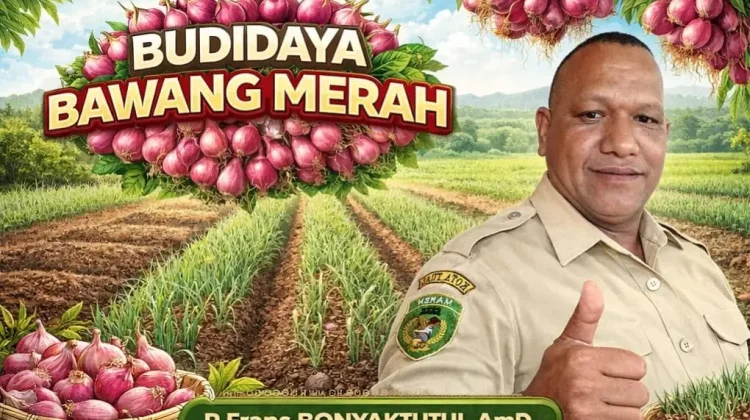 Panduan Sukses Budidaya Bawang Merah Modern
