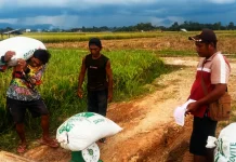 Bulog Bukittinggi Serap Cadangan Berasa Pemerintah di Dua Daerah