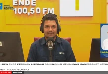 BPS Ende Gelar SNLIK 2026
