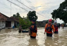 Hujan Deras Picu Banjir di Kecamatan Losari Kabupaten Brebes