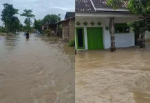 Ribuan Jiwa Terdampak, 90 Hektare Sawah Terendam Banjir di Balung