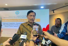 DEN Luncurkan Situs Web Kebijakan Ekonomi Berbasis Data