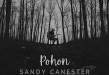 Lagu Pohon Sandy Canester Suarakan Makna Memberi tanpa Pamrih