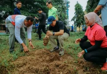Pemprov Lampung Tanam Pohon di Kawasan PKOR