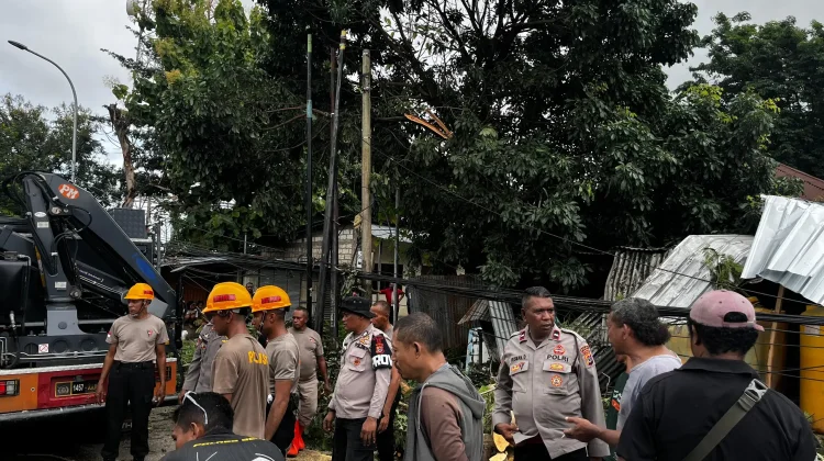 Evakuasi Pohon Tumbang Timpa Mobil di Maulafa