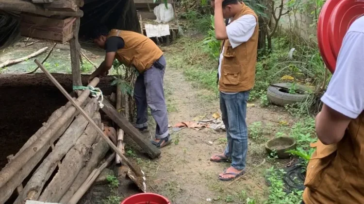 Pelatihan Kompos Kotoran Sapi Tingkatkan Produktivitas