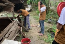 Pelatihan Kompos Kotoran Sapi Tingkatkan Produktivitas