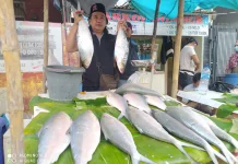 Milkfish Dishes: A Chinese New Year Tradition Explained