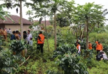 Mitigasi Bencana, RENTAN Tanam Ratusan Pohon Keras