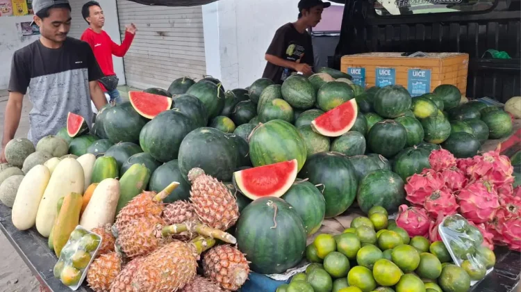 Aneka Ragam Jenis Buah dengan Harga Bervariasi