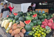 Aneka Ragam Jenis Buah dengan Harga Bervariasi